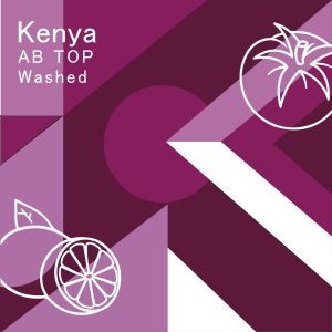 肯亞 AB TOP