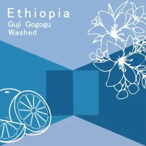 衣索比亞 烏拉嘎 橙谷花 水洗 G1