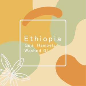 衣索比亞 罕貝拉 柚見花 水洗 G1