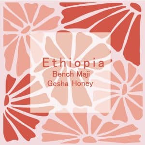 衣索比亞 班奇馬吉 粉黛夜曲 藝伎 蜜處理