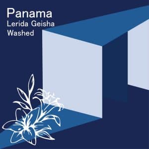 巴拿馬 波奎特 蕾莉達莊園 藝伎 水洗