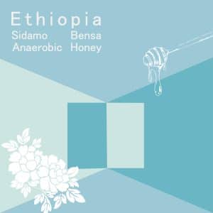 衣索比亞 班莎 橙花圓舞 雙重厭氧蜜處理