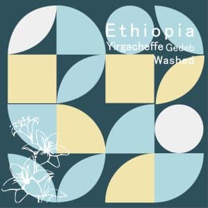 衣索比亞 潔蒂普 橙霧 水洗